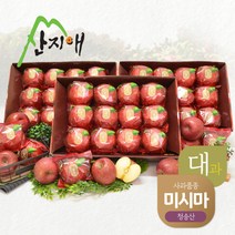 [산지애]씻어나온 꿀사과 9kg(3kg*3박스) 미시마 / 대과, 3개