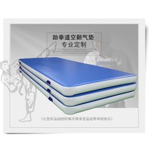 스포츠 매트 합기도 태권도장 바닥매트 낙하 방지, 수입 평면 2x10