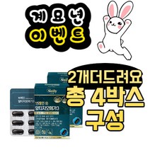 뉴일리 징코알티지오메가3 4박스(60캡슐)대두레시틴 은행잎추출물 노르웨이산 알티지오메가3 홍삼농축분말 밀납 정제어유 커플 아내 목넘김편한 처가선물 남자선물 노년 30대후반 애인선물