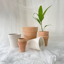 화이트 토분 모음, 롱브이라인