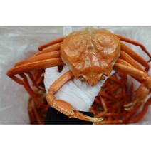 [산지직송]포항 구룡포 연지홍게 3kg, 3) 자숙연지홍게 3Kg 라면육수용