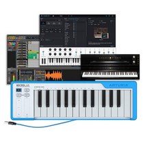 Arturia MicroLab 25키 USB MIDI 키보드 컨트롤러 100981, Blue