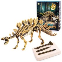 공룡화석 발굴키트/공룡화석 발굴 과학키트(대형) DINOSAUR EXCAVATION KIT, 스테고사우르스