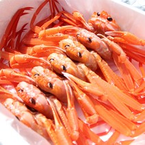 인기 있는 초저가박달홍게 인기 순위 TOP50