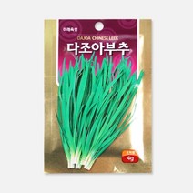 다조아부추 씨앗 4g 모종 텃밭 키우기, 상품선택