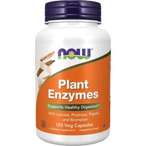 나우 플랜트 엔자임 효소 NOW Plant Enzymes 120정