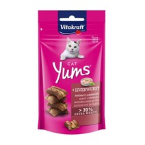 반려 비타크래프트 캣얌 리버소세지 40g, 12개묶음