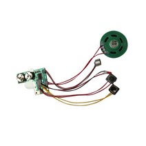 카드 음성 녹음 모듈 멀티 플레이 도구 푸시 버튼 칩 액세서리 마이크 기록, 01 TYPE1