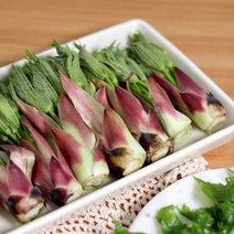 지리산 햇 엄나무순 개두릅 음나무순 엉게, 프리미엄 500g