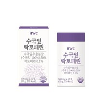 HWC 수국잎 락토페린 정 열수추출공법 피쉬콜라겐 비오틴 푸룬, 10박스, 60정