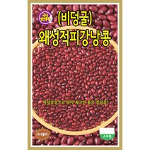 왜성적피 강낭콩 비덩굴 30g/옥수수/콩/곡류/봄파종채소