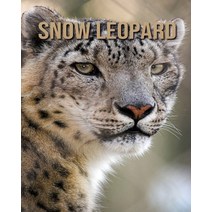 Snow Leopard: Super Fun Facts And Amazing Pictures Paperback, Independently Published