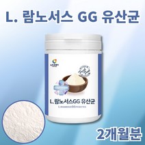 프랑스 락토바실러스 람노서스 지지 유산균 먹이 프락토올리고당 함유 유산균 가루 분말 물 음료 요거트에 타먹는 유산균