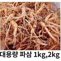 인삼 수삼 5년근 인삼 세척인삼 1kg 인삼뿌리 인삼파삼1kg 금산인삼 못난이인삼 세척수삼 인삼가정용, 세척(x) 파삼1kg, 1개