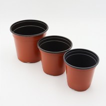 이색포트 9cm 10cm 12cm