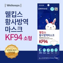 KF-94 웰킵스 약국용 황사방역마스크 소형 30매입