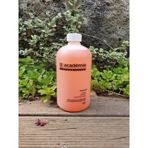 아카데미 로시옹 쀼리피앙뜨 500ml 트러블 여드름 피지조절 토너
