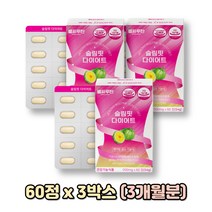 체지방 관리 가르시니아 체중 감소 건강한 다이어트 감량 하복부 뱃살 관리