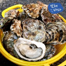 [남해바다] 국내산 석화10kg각굴, 없음, 1개