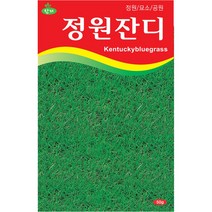 정원잔디 씨앗 30g 양잔디 산소/정원/공원/ 용