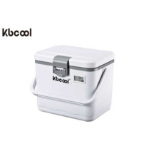 냉장고 아이스박스 캠핑 낚시 쿨러 야외 피크닉, 4리터 화이트