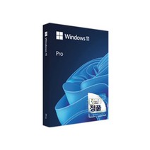마이크로소프트 Windows 11 Pro FPP 한글, 단품
