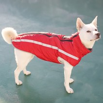 바드소 대형견 패딩 워머, 빨강