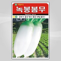 슬로시 슬로시 김장 채소 씨앗 무 배추 당근 씨 종자, 녹봉봄무300립(아람)