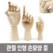 건강-드림_미술 인체묘사 뎃생 관절 인형 손모양 중 용품 사람 소품_rjsrkdemf, 건강드-림-상품*
