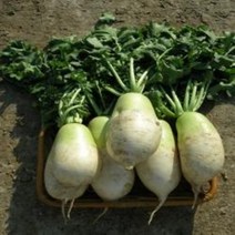 (예약중)유기농 김장무10kg(10~16개)/ 설명참조, 5)11월10일 목요일