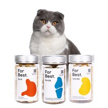 포베스트 고양이영양제 스코티시폴드 신장 관절 위장 + 전문가 무제한 상담권