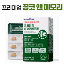 식약처 인증 은행잎 추출물 프리미엄 징코 엔 메모리 기억력 혈행 개선 뇌 두뇌 건강 영양제, 1개, 30정