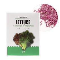 꿈쟁이 1종 씨앗봉투 방울토마토 상추(택1)