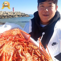 제철 대게 홍게 자숙 찜 박달 구룡포 선주직송 2kg, [신선출발]국산대게(생물or자숙찜), 일반대게 중 3마리(생물)_수율60%내외, 3개