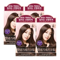 AP 려 우아채 새치크림 염색약 4N 짙은갈색x4개