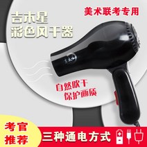 다용도 차량용 휴대용 usb 정음 무선드라이기, T01-블랙 3in1형