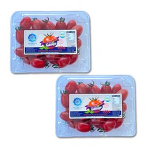 대한농산 스테비아 대추 방울 토망고 500g+500g, 500g