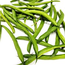 야채24닷컴 생 그린빈스 그린빈 300g, 1개