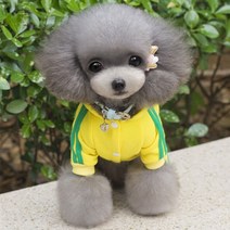 펫리 츄리닝 강아지 트레이닝복 올인원 강아지옷, 옐로우