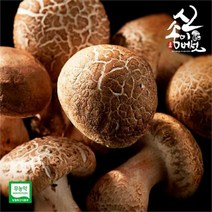 보섭이네푸드 송이향 품은 무농약 신송이버섯 1kg 내외 2급, one coler/free