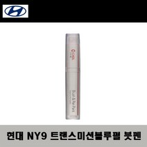 현대 NY9 트랜스미션블루펄 주문붓펜 자동차 도색 차량용 카페인트