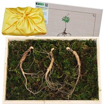 아리아리산삼 6 8 10년근 15뿌리 산삼 장뇌삼 산양삼 산양산삼 자연산 주 장뇌, 1개, 선택8. 10년근 3뿌리