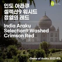 (커피생두) 297 인도 아라쿠 셀렉션9 워시드 - 정열의 레드 (Gems of Araku 2022 #15) 500g