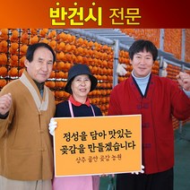 상주 곶감 반건시 20개 30개 40개 선물세트 상주골안곶감농원, 60g 30개, 60g