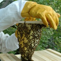 벌집작업 필수품! 09FARM 통기성 보호슬리브 양봉장갑