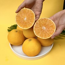 제주 황금향 계절과일 제주도 하우스 감귤 명절 설 선물세트 1~5kg, 1박스, 가정용 5kg 대과 10~15과 내외