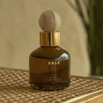 BASK 듀얼퍼포즈 실내겸용 차량용 디퓨저 100ml 본품, 샌달우드, 1개