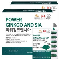 캐나다 파워 징코앤시아 120캡슐X2박스/은행잎추출물 아연 비타민D B, 72g, 2개