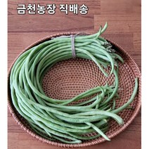 [금천농장] 줄콩 껍질째먹는 줄기콩/롱빈/그린빈스/500g, 0.5kg
