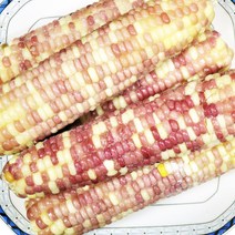 푸드마을 냉동 삶은 옥수수 찰옥수수 10개 1박스(68~70개 내외), 1개, 냉동옥수수 10개
